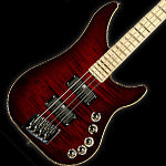 Vigier Basses Custom Order