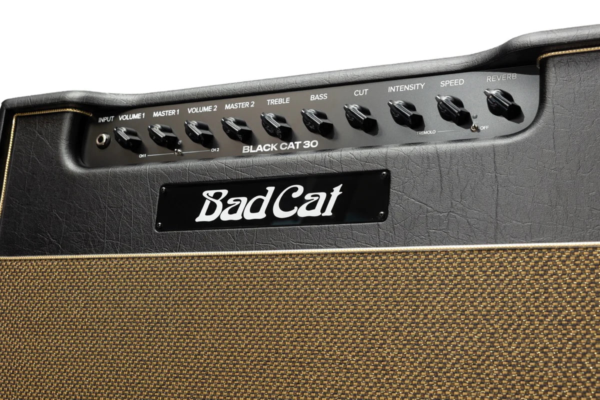 Bad Cat Mod Shop Black Cat 30 Combo
