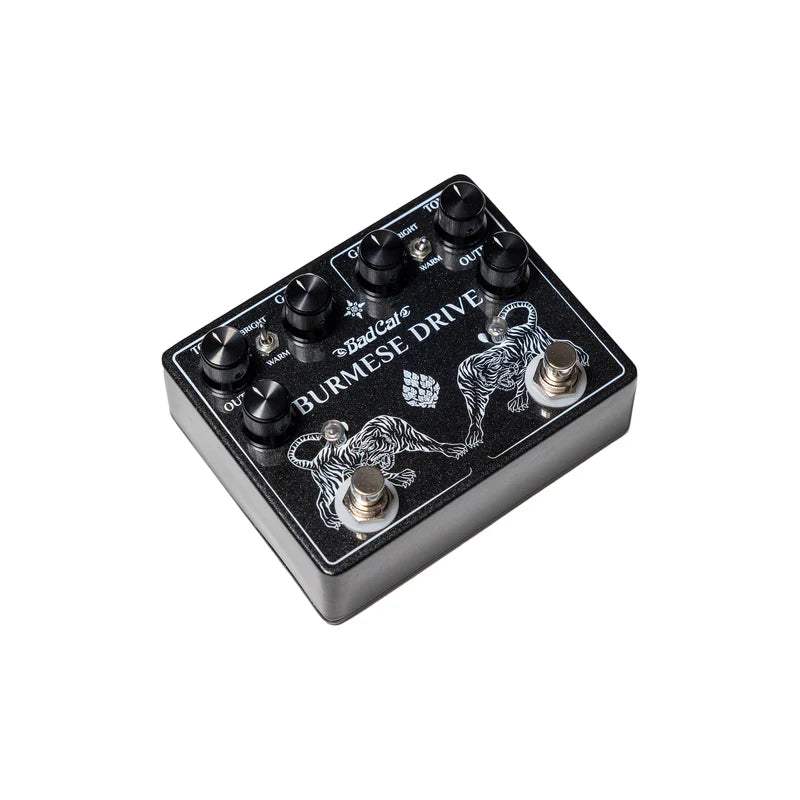 Bad Cat Burmese Drive