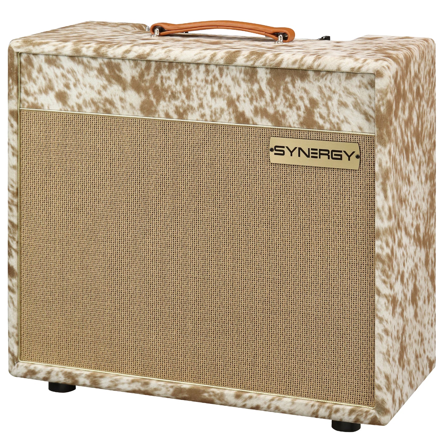 SYNERGY SYN-20IR Combo Amplifier