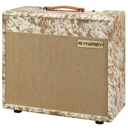 SYNERGY SYN-20IR Combo Amplifier