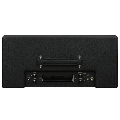 SYNERGY SYN-20IR Combo Amplifier